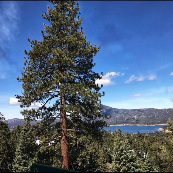 Meet your Posher, Rachel - Picture 6 of 7